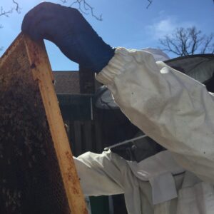 Picture of Richie Ring